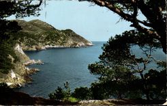 Le Brusc CPA Vue sur le Mont Salvat