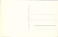 Strasbourg CPA the old women towers with the covered bridges