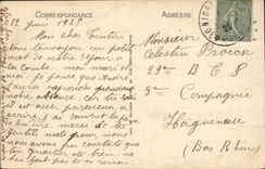 Niort - the Breach seen of the Garden - CPA