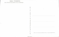 Chambord - Les Bords du Cosson et le Chateau - CPA 