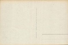 Vittel - the Large one Allee - CPA