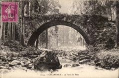 Gerardmer - the Bridge of the Fairies - CPA