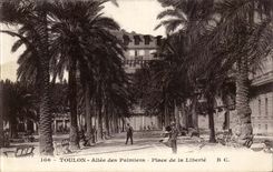 Toulon - Allee of the Palm trees - Place of Freedom - CPA