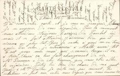 Toulon - Allee of the Palm trees - Place of Freedom - CPA