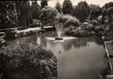 Vichy - Queen of the Towns of Water - the Basin of the Swans in the Large Parks - CPA