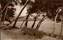 Menton - Through the Pines - CPA