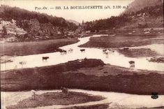 Bouillousette CPA (Kuhe)