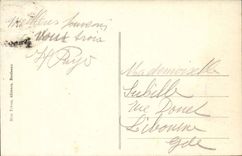 Royan CPA gross das Tritonshorn