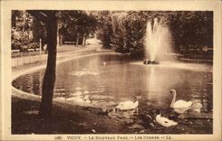 Vichy CPA the new park the swans (swan)
