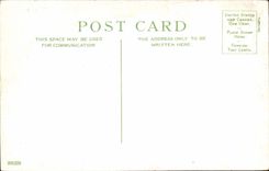 Nice CPA Gardens of the palm trees and the casino