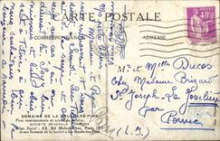 La Baule Pines CPA places palm trees and the avenue of the Limes