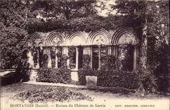 Montargis CPA Ruins of the castle of Lorris