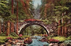 Gerardmer CPA the bridge of the fairies