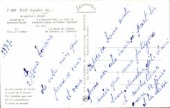 CPM Souvenir de Dax (Splendid fontaine chaude les oies)