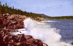 The United States MODERN CARD Surfing along Ocean drive Bar Harbor Acadia National Park Maine