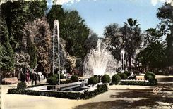 Africa - Africa - Morocco - Oujda - a Sight in Public garden - CPA