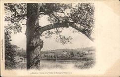 Cernay the Cheap one - the Mill the Pond and the Valley - CPA