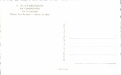 Saint Bertrand de Comminges CPA the cathedral Detail of the Stalls Adam and Eve