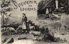 Lourdes - Souvenir of Lourdes - sheep - CPA