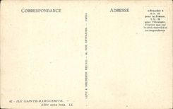 CPA Insel-Sainte Ganseblumchen Allee unter Holz