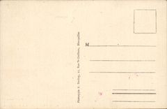 Montpellier - Parc de l'esplanade - Cygnes - CPA 