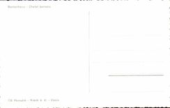 Suisse CPA Chalet bernois