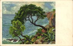 Pin au Mourillon (Toulon) CPA Francois Gos fils 