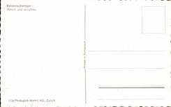 Suisse Fahnenschwinger Monch und Jungfrau Drapeau Flag