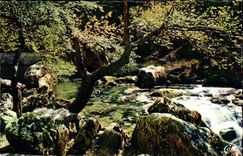 Fountain of Vaucluse MODERN CARD the source by High waters