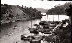 Blackcurrant MODERN CARD Creek of the Miou port