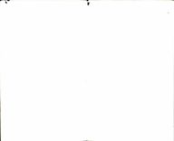 CPA Fantasy Happy New Year