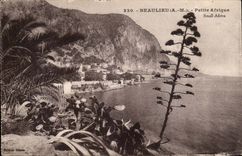 Beaulieu CPA Small Africa