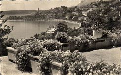 Menton CPA Enters the flowers