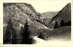 The Jura CPA Valley of Morez to the Russet-red ones