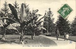 Pau CPA a corner of the Beuamont park (banana banana)