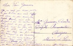 CPA Fantasy Flowers Happy New Year Birds