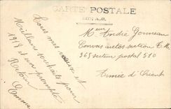 CPA Fantasy Wishes of better year (swallow)