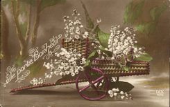 CPA Fantasy carries It happiness