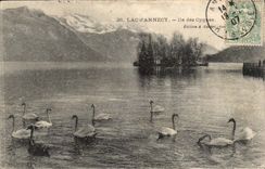 Annecy Lake CPA Island of the swans (swan)