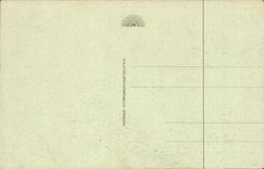 Lourdes CPA the basilica and the road of Pau