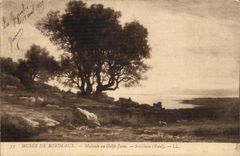 Museum von Hybride-Bordeaux CPA zum Golf Juan Sebilleau (Paul)