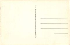 Loaches CPA collegial St Bear