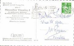 Fantasy - Children with rabbit - child snugging with rabbit - CPA