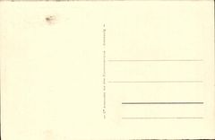 Nancy CPA Palais ducal Grand rue