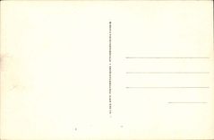 Loaches - Between Royal Castle - dog - CPA