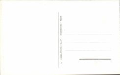 Lourdes CPA the basilica and mountains