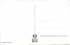 Switzerland Geneva CPA the water jet and Mont Blanc