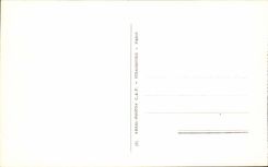 Lourdes CPA the basilica and Gave