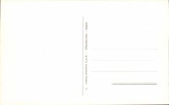 Lourdes CPA the basilica and the cave