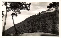 Mont Saint Odile - View - CPA